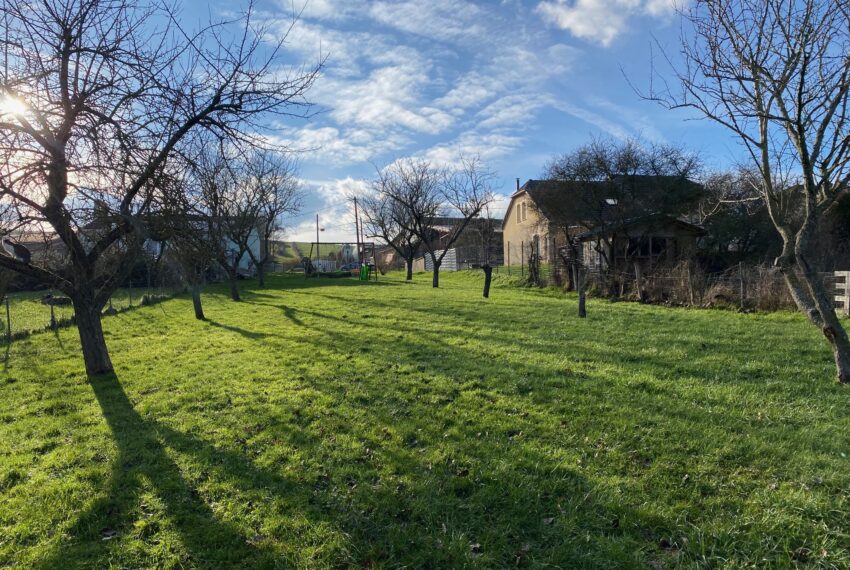 terrain a vendre serriéres 3