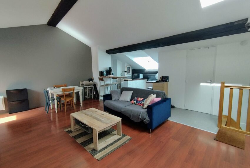 appartement-a-vendre-nancy-1