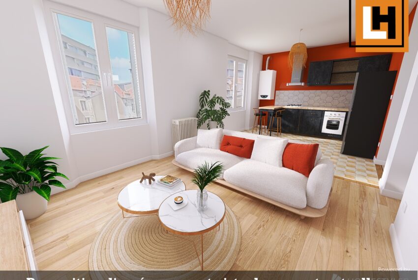appartement-a-vendre-nancy-1a