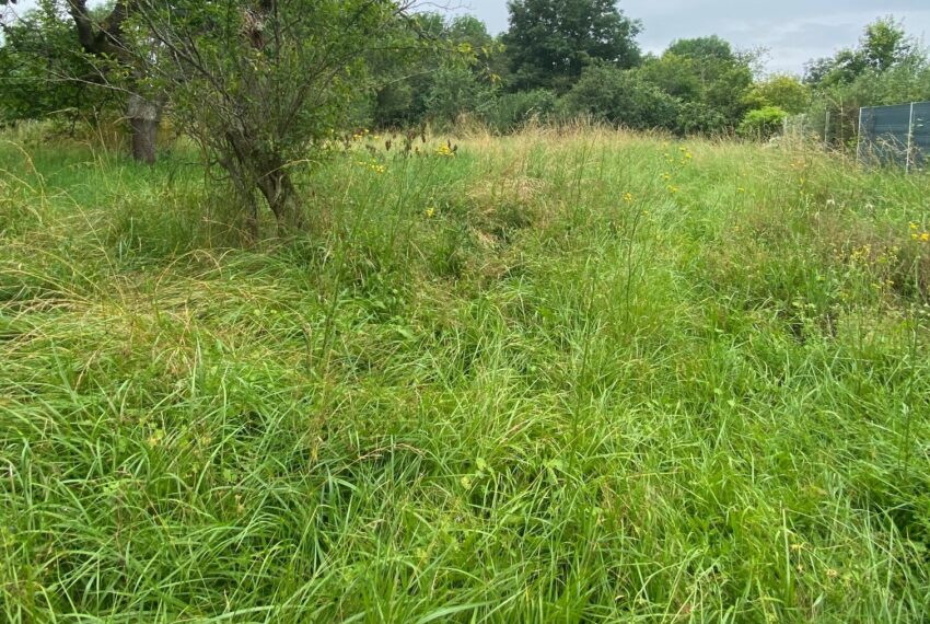 Port sur seille terrain a vendre 2 rue des dames