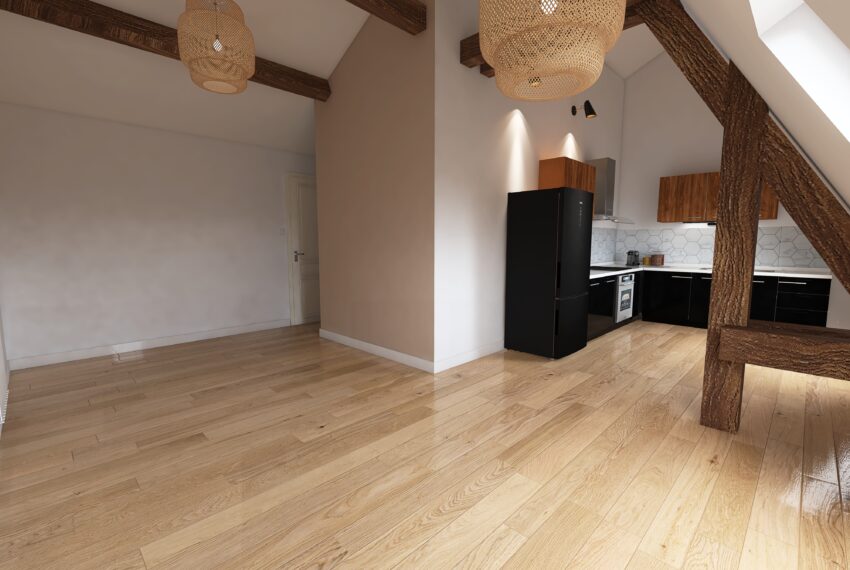 appartement-a-vendre-nancy-1