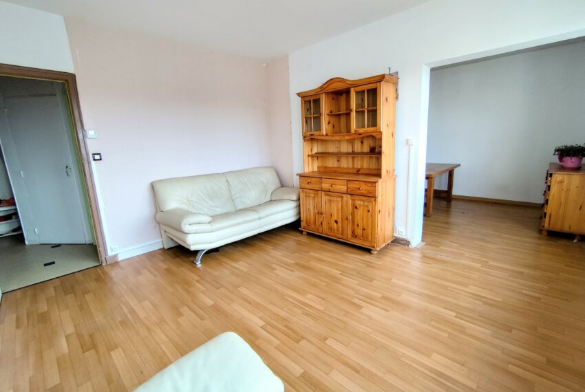 appartement-a-vendre-laneuveville-devant-nancy-1