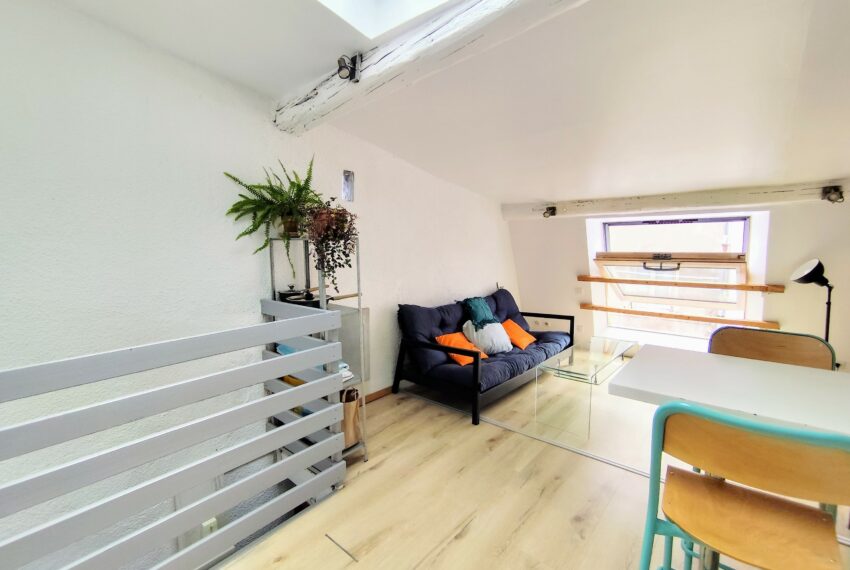 appartement-a-vendre-nancy-2