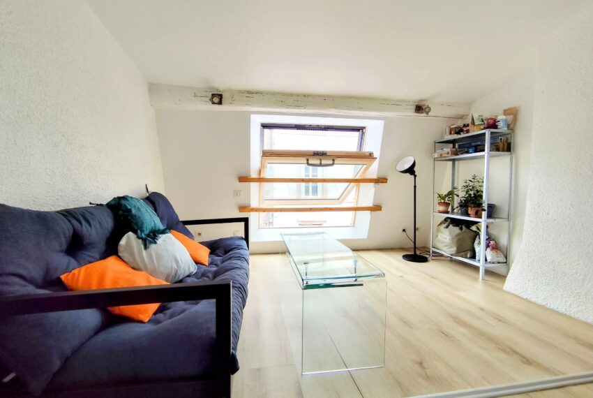 appartement-a-vendre-nancy-3