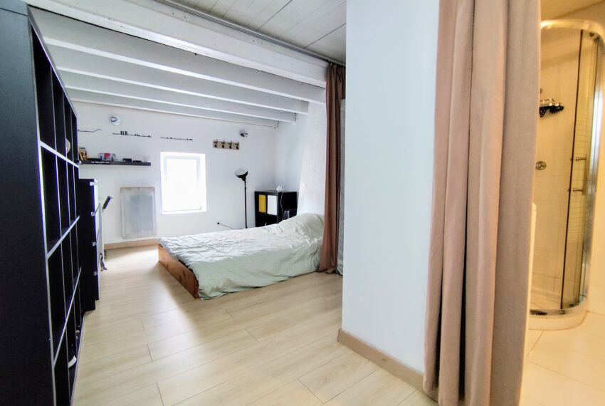 appartement-a-vendre-nancy-5