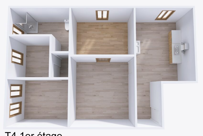 immeuble-a-vendre-mirecourt-16