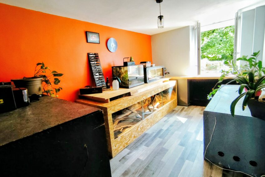 maison-a-vendre-mont-sur-meurthe-6