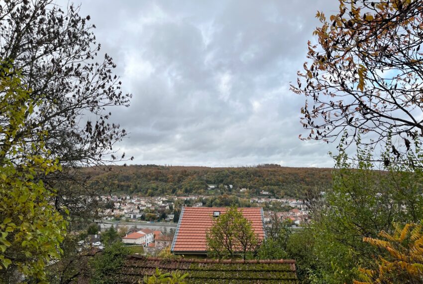 maison a vendre frouard 10