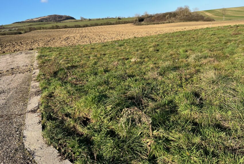 terrain a vendre a Delme 2