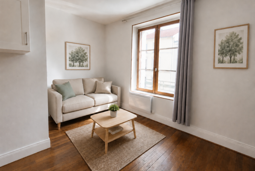 immeuble-a-vendre-nancy-3
