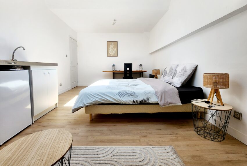Appartement-colocation-a-vendre-nancy-11